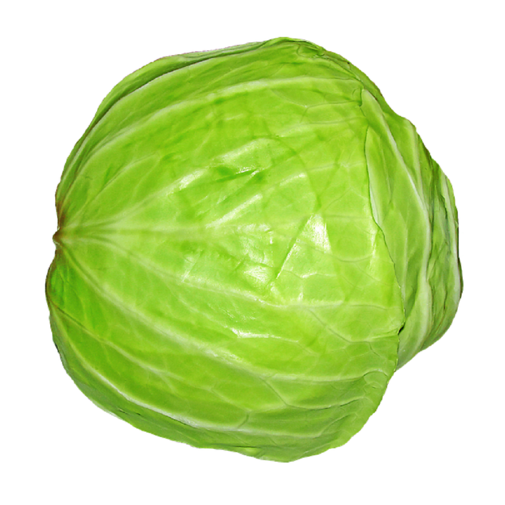 كرنب Cabbage