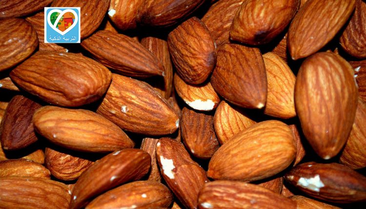 almond-83766_1280