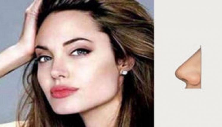 الأنف المسطح