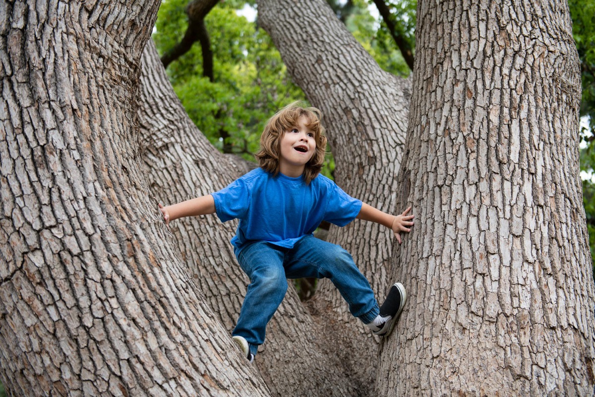 Мальчик с дерева \ the tree boy. Мальчик у дерева картинка. Взбираться на дерево. Мальчик дерево видео. Дерево для детей.