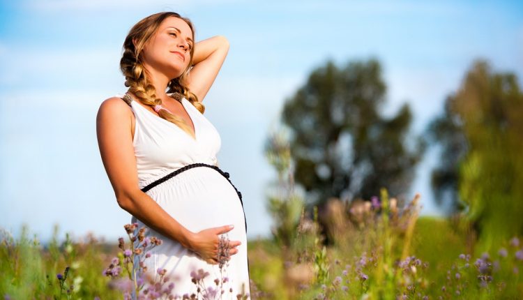 Pregnant woman standing in flower field