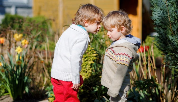 Two little brothers boys fighting and having dispute. Preschool, upset children arguing outdoors. Rivalry and competition betweens siblings. Unhappy twins. One boy crying